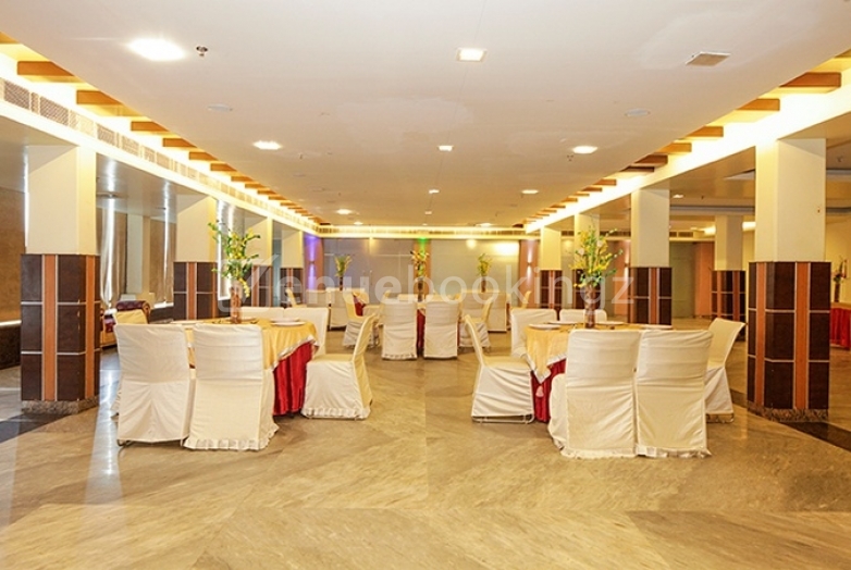 Banquet Halls  in Airport Hotel Park Blue Kapashera Delhi