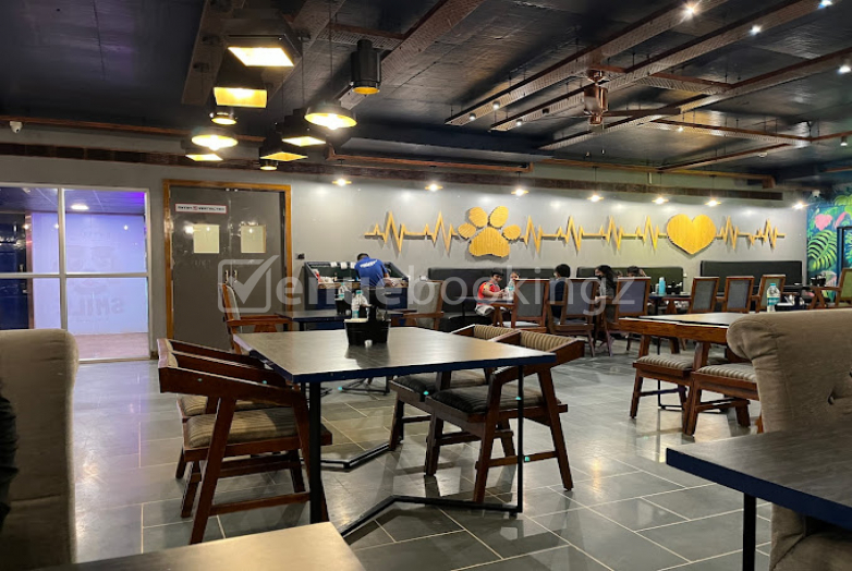 Banquet Halls  in Twisty Tails Nungambakkam Chennai