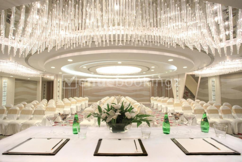 Party Halls & Birthday Party Venues in Radisson  Ashok nagar Udaipur