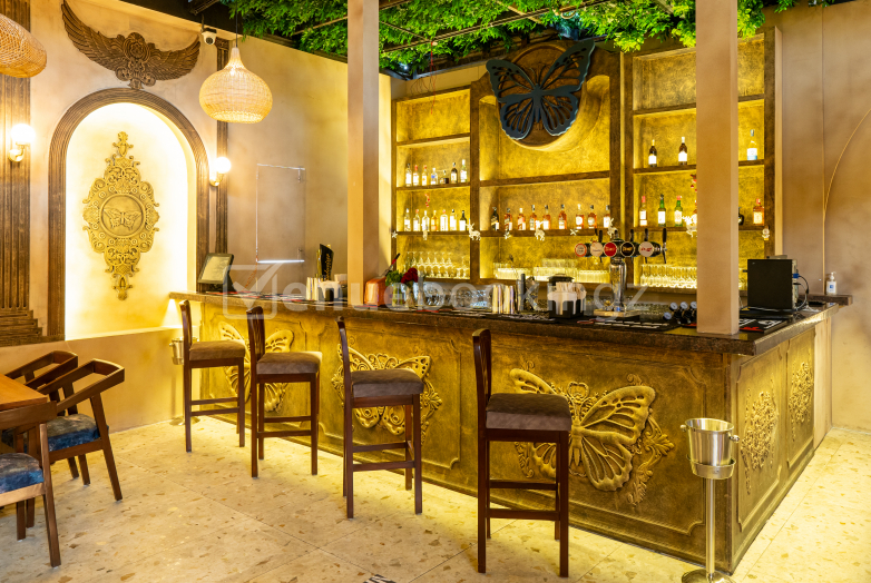 Blue Butterfly Bar & Kitchen Electronic City Bangalore Book Venue for