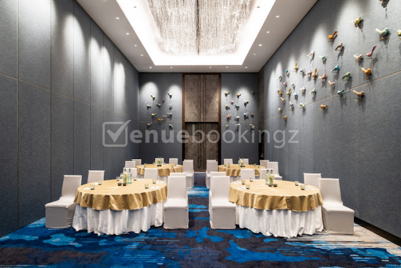 Conference Halls in Hyatt Centric Candolim Goa Candolim Goa