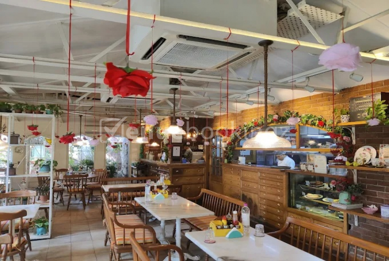 Birthday Party Celebration, Cocktail Party, Corporate Party, Fresher Party, Bachelor Party in Diggin Cafe Chanakyapuri in Diggin Cafe Chanakyapuri Delhi NCR